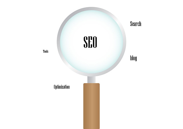 SEO infographic